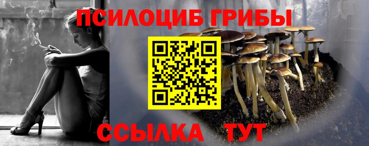 Галлюциногенные грибы Cubensis Лангепас